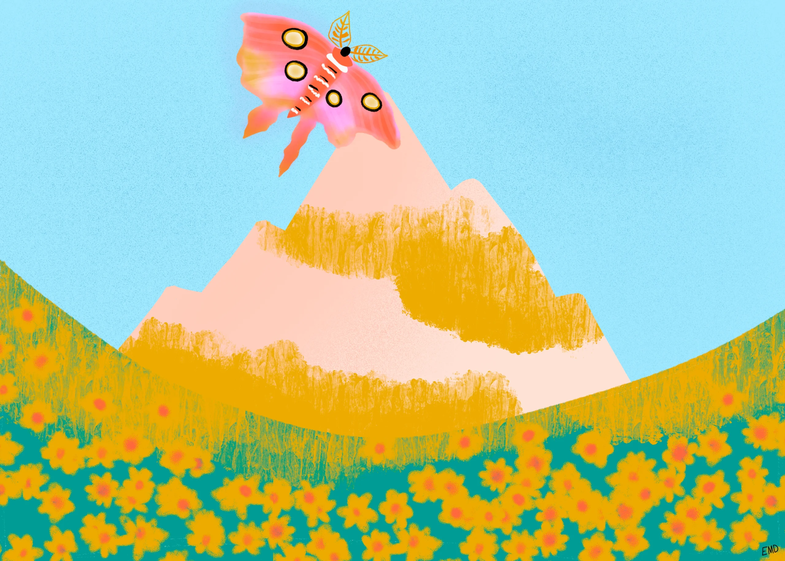Luna moth on mountain