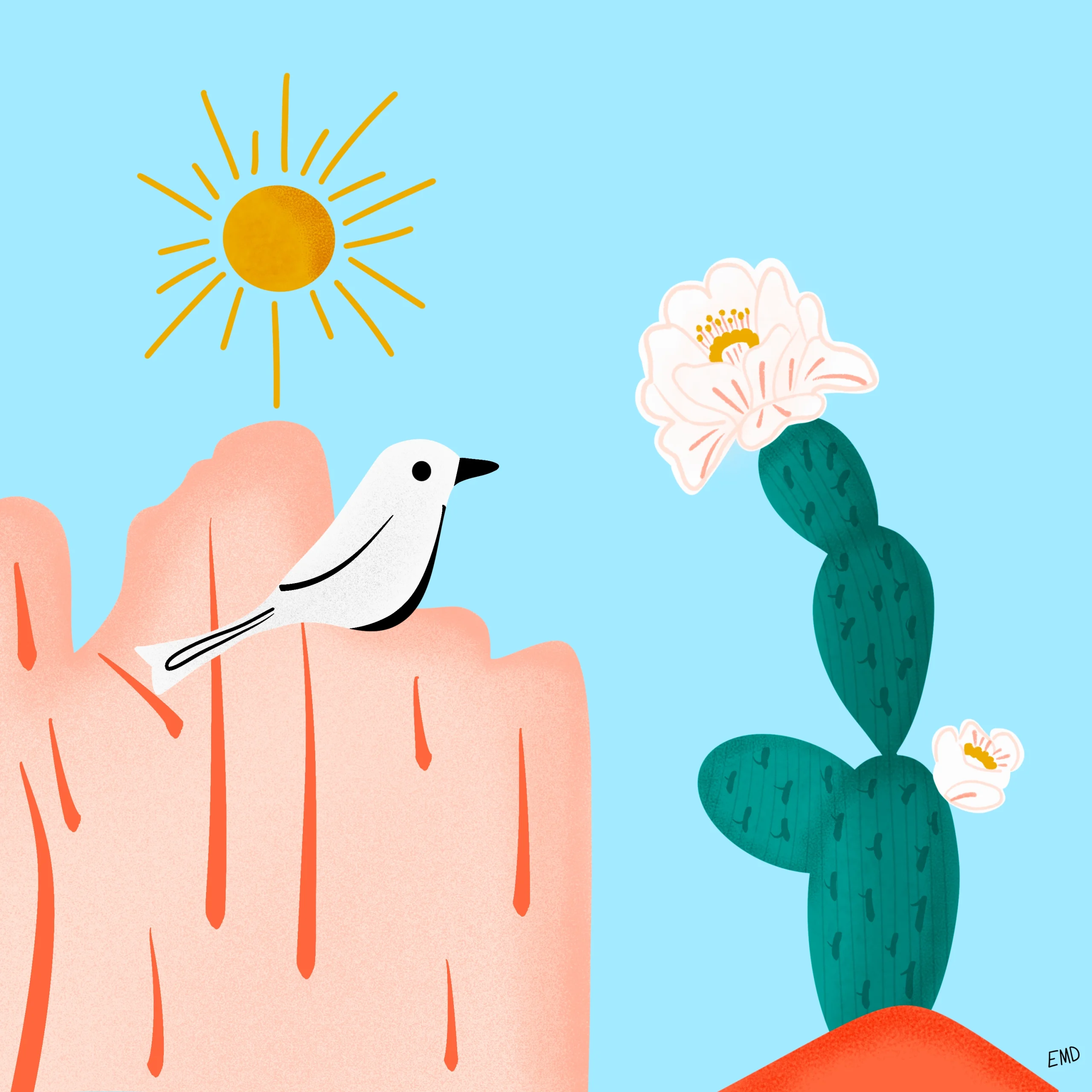 Mountain with a bird and a cactus